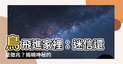 鳥飛進家裡死掉|鳥飛進屋預示著什麼,小鳥飛進屋有什麼兆頭